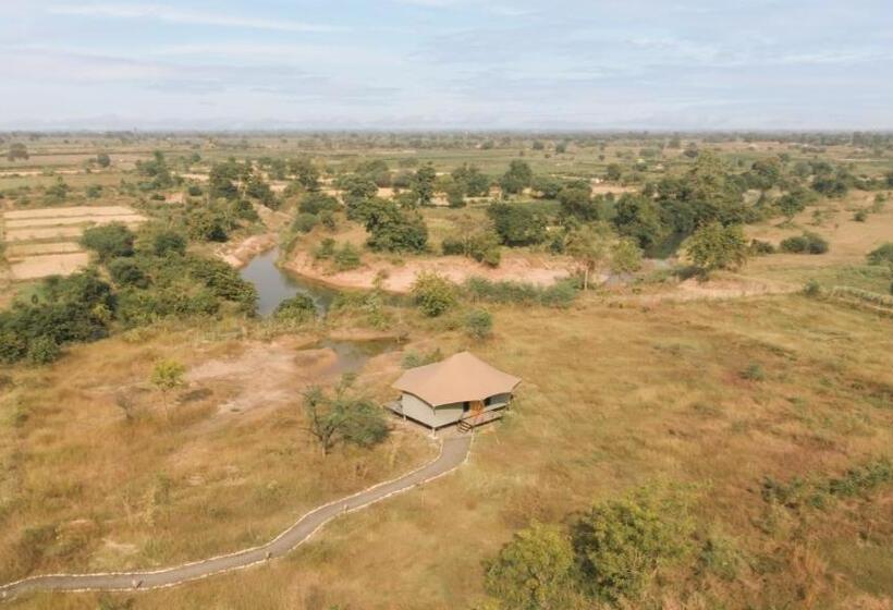 Отель Trees N Tigers, Tadoba