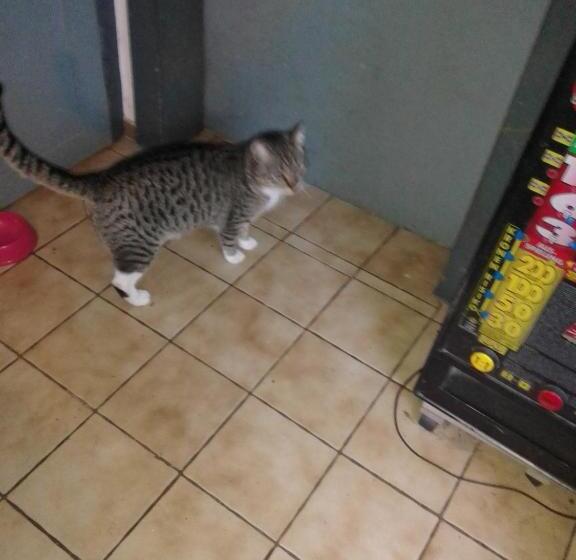 ホテル Zum Stillen Himmelbett