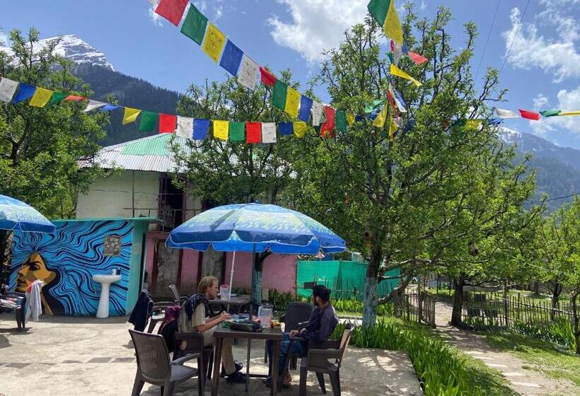 Пансион Freedom Cafe