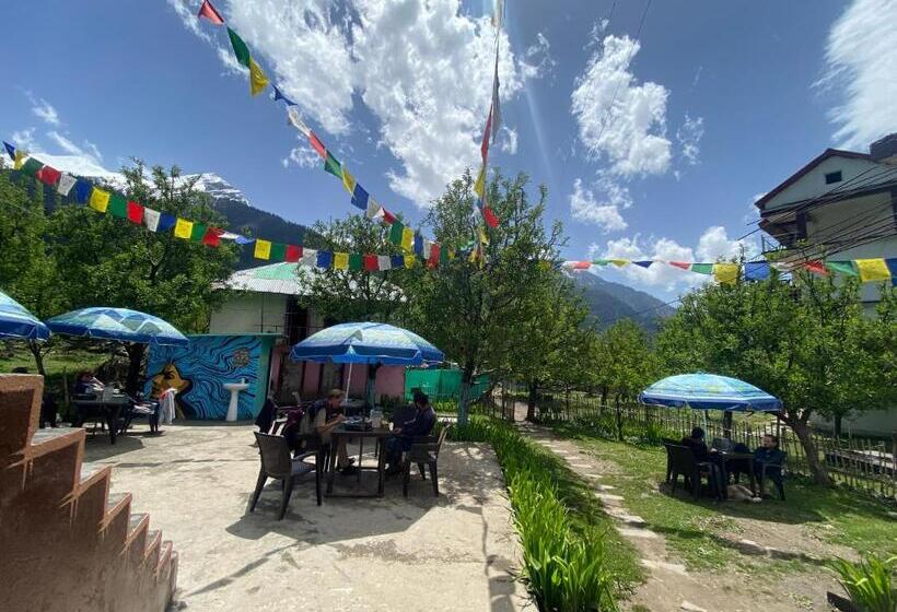 Пансион Freedom Cafe