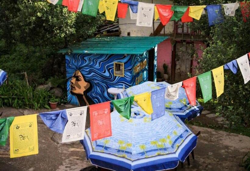 Пансион Freedom Cafe