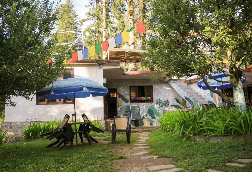 Пансион Freedom Cafe