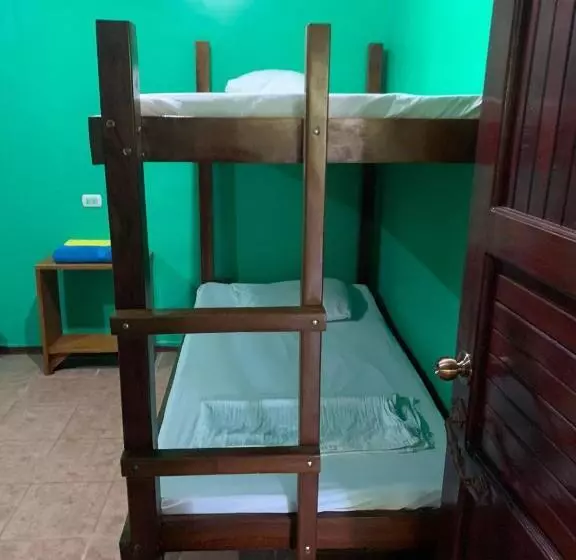 ペンション The Monkey Trail Hostel