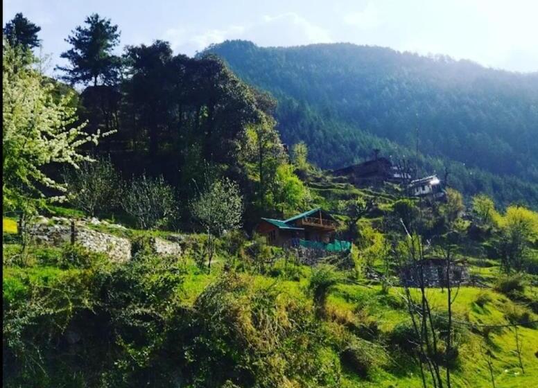 Bed and Breakfast Forget Me Not