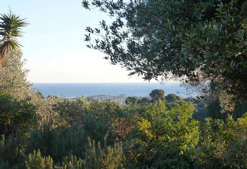 Chambre Bed And Breakfast Dans La Villa Cypra