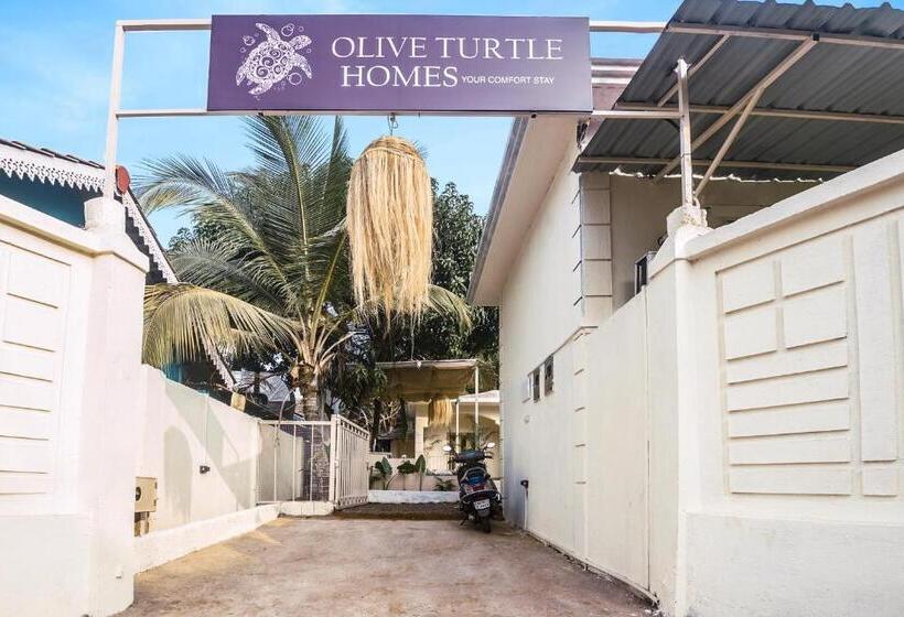 Hotel Collection O Olive Turtle