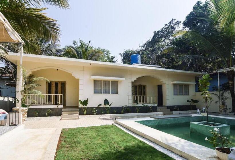 Hotel Collection O Olive Turtle