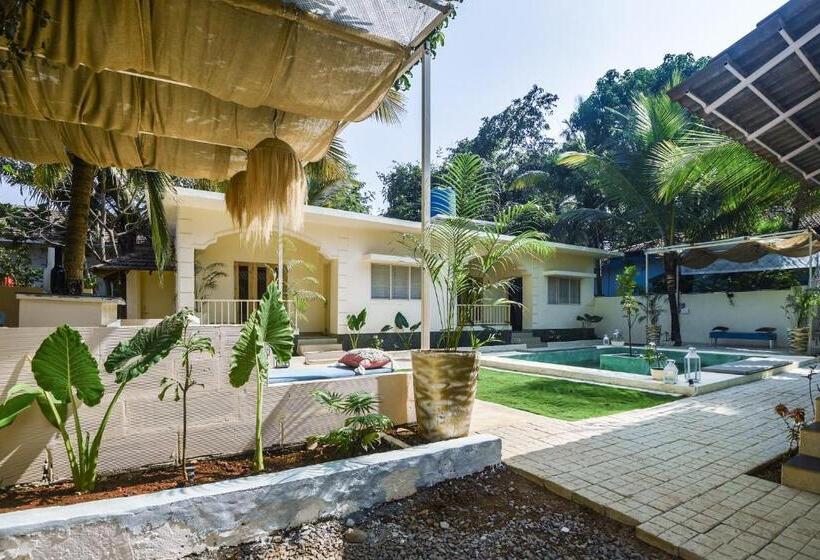 Hotel Collection O Olive Turtle