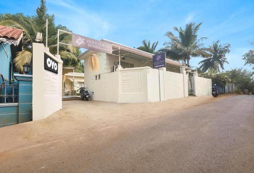 Hotel Collection O Olive Turtle