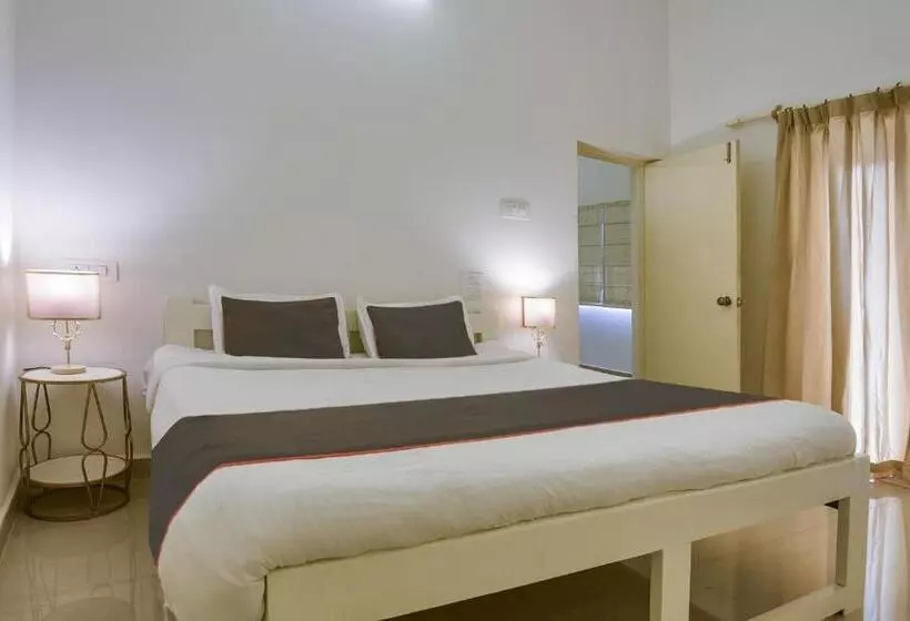 Hôtel Collection O Olive Turtle