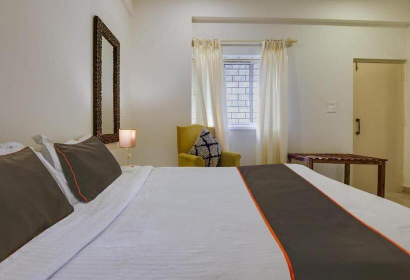 Hotel Collection O Olive Turtle