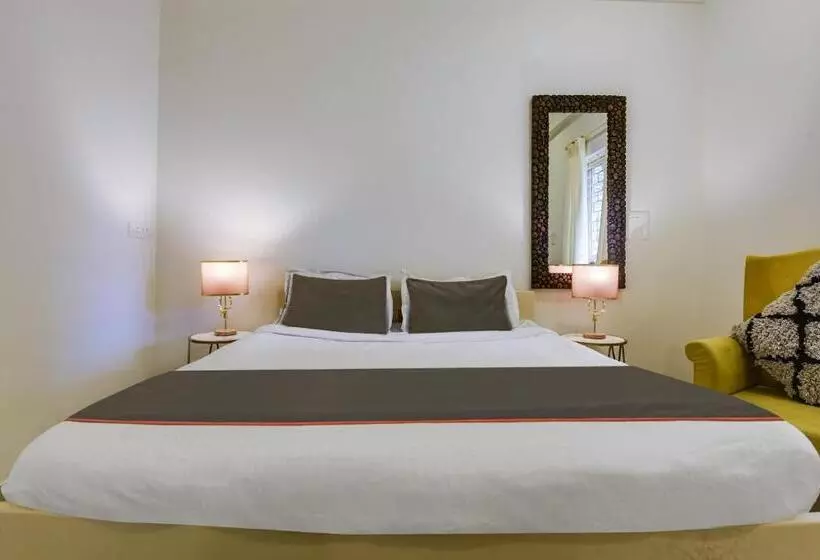 Hôtel Collection O Olive Turtle