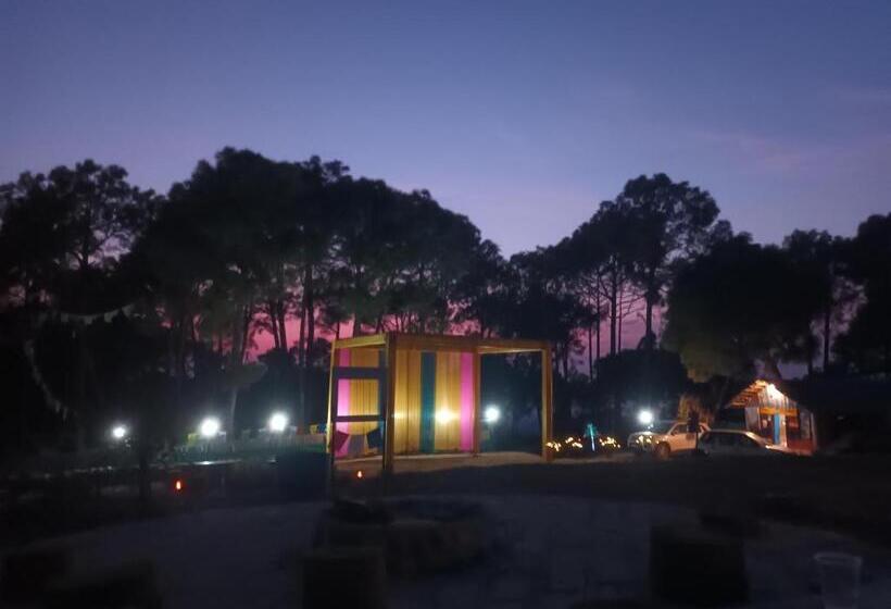 בית מלון כפרי Nirvana Eco Camp, Bir