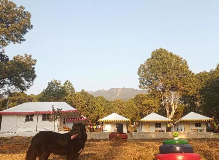 ホテル Nirvana Eco Camp, Bir