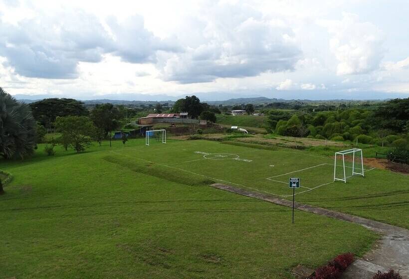 ホテル Palmas De Alcalá