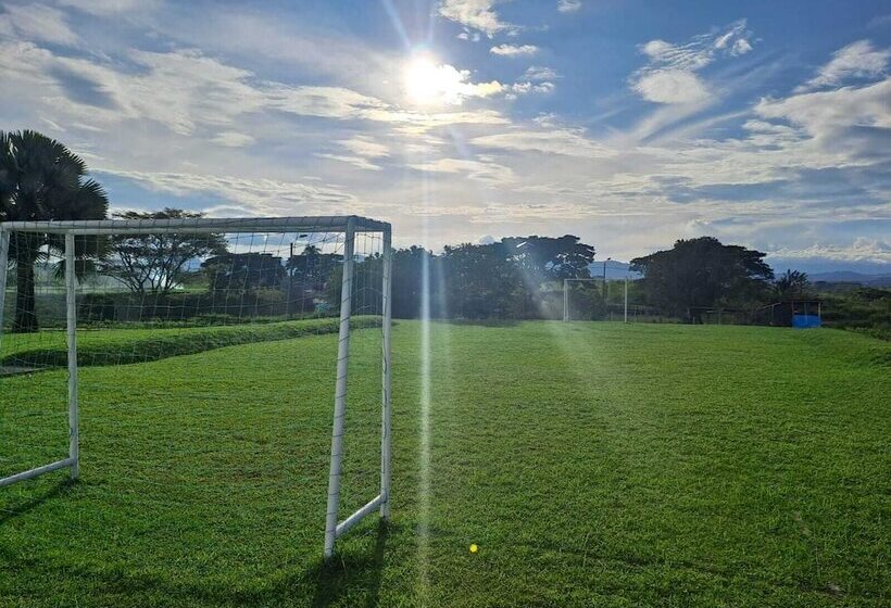 ホテル Palmas De Alcalá