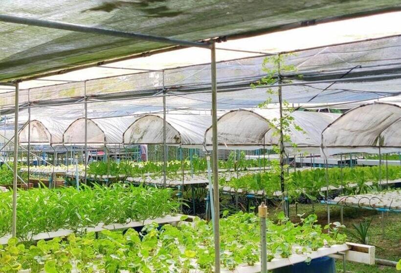 ホテル The Willow Phangan