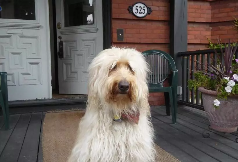 Auberge King Edward Bed And Breakfast