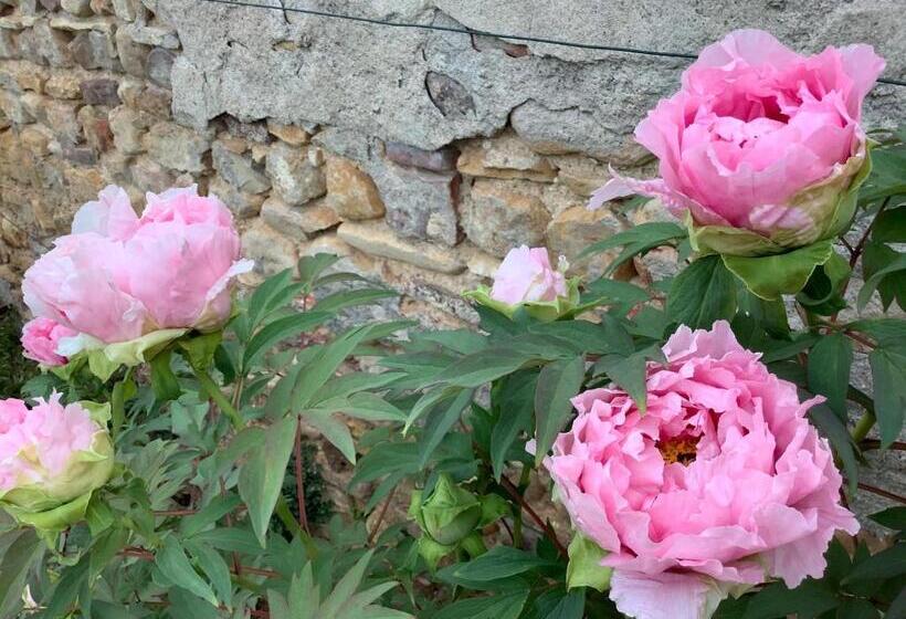 تختخواب و صبحانه Pivoines