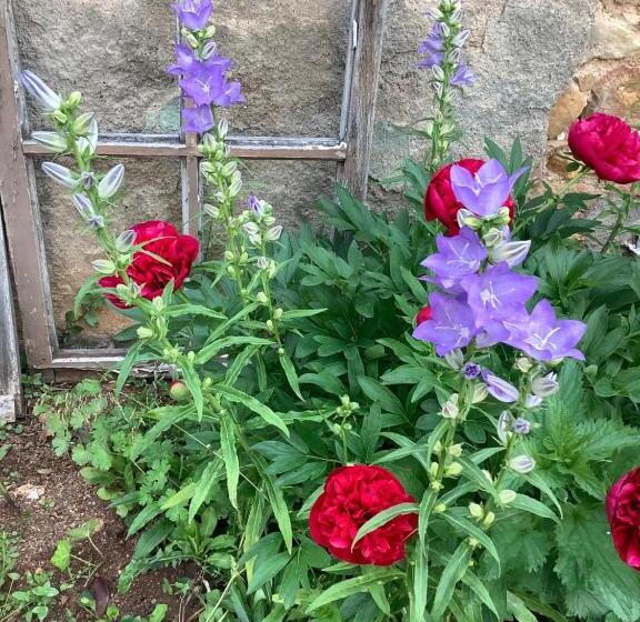 تختخواب و صبحانه Pivoines