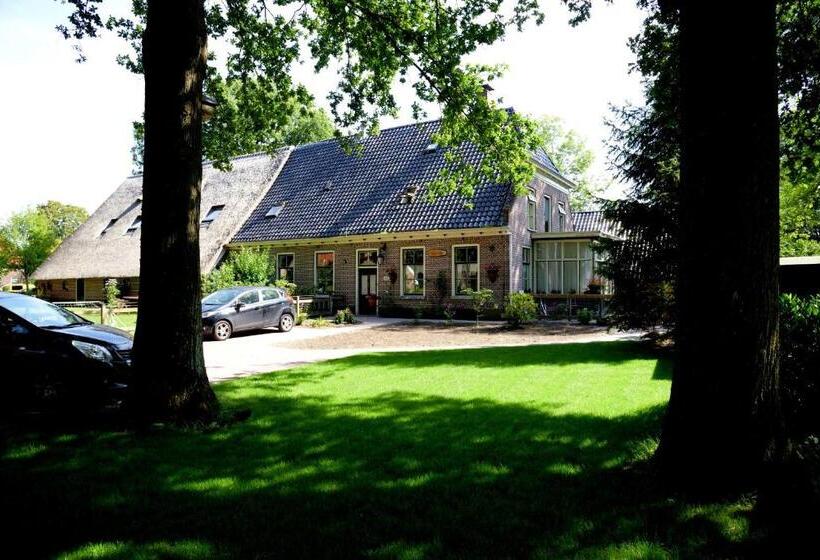 Bed & Breakfast De Corylus