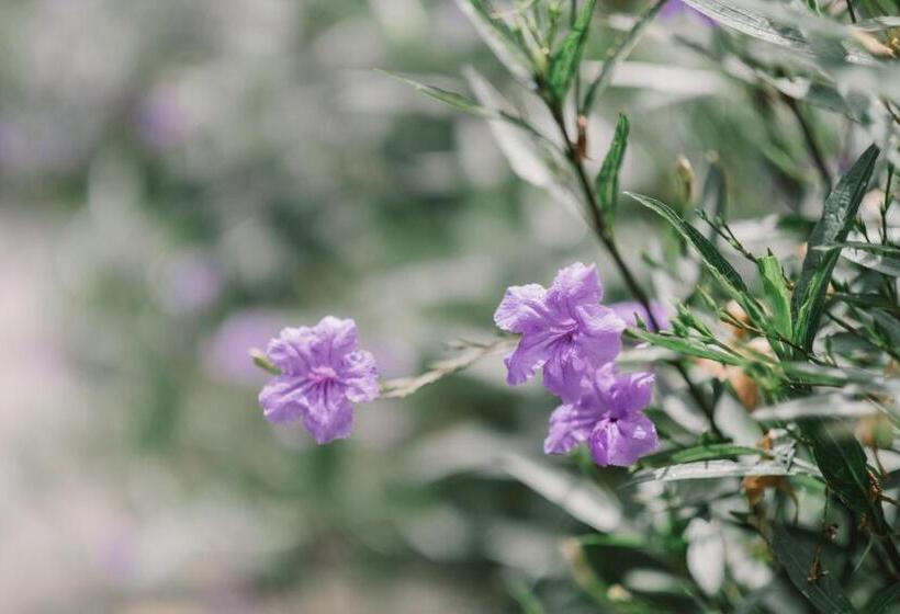 Otel A Day Inn Lamphun