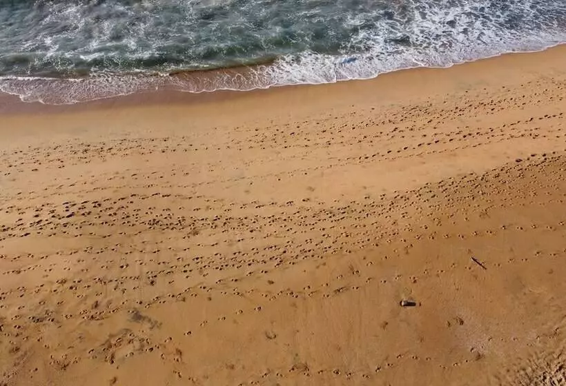 ホテル Casa Mandarina