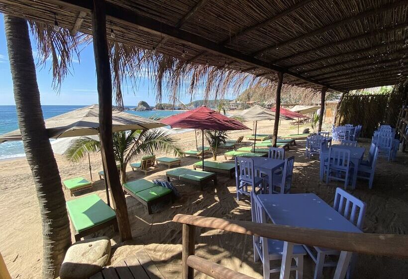 호텔 Casa Mandarina