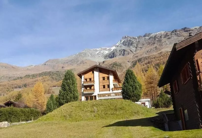 ホテル Hôtel Garni Les Bouquetins