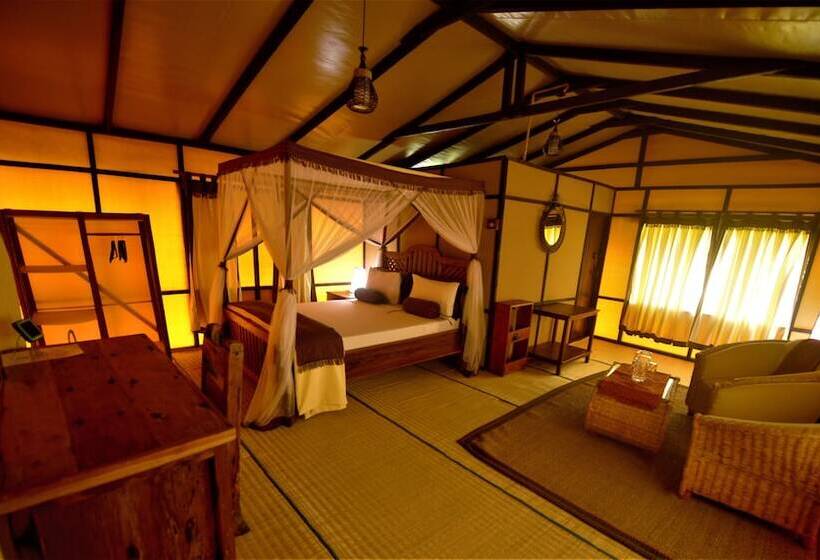 호텔 Little Okavango Camp