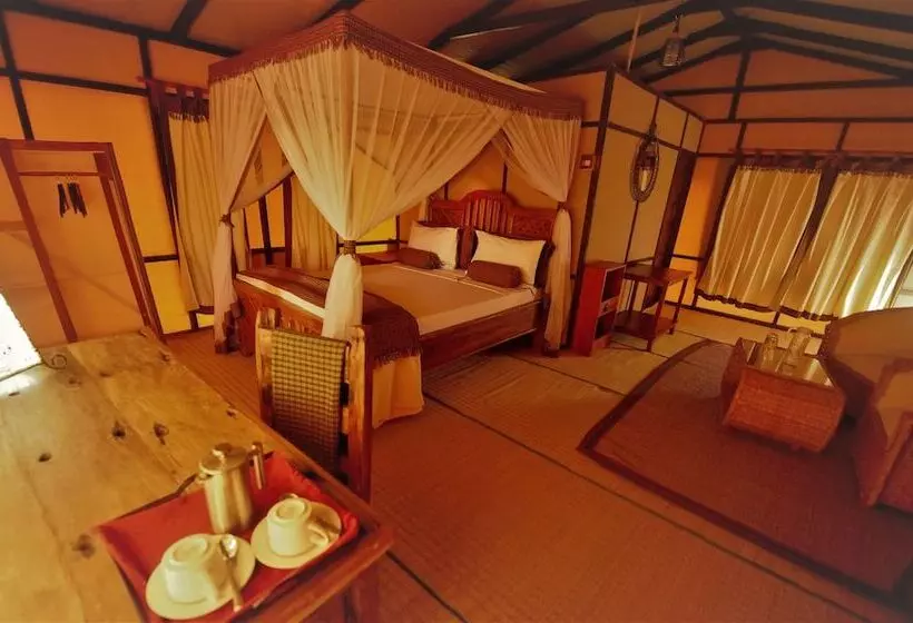 هتل Little Okavango Camp