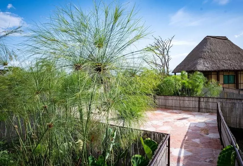 هتل Little Okavango Camp