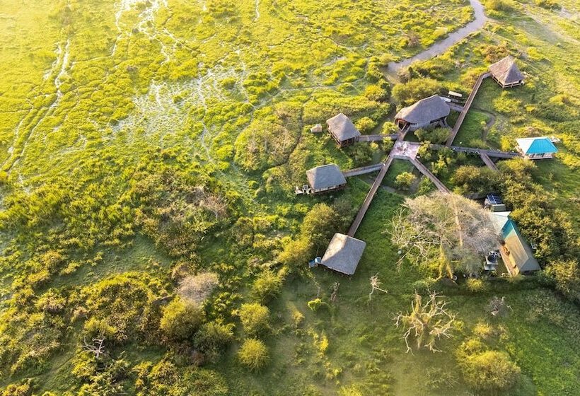 호텔 Little Okavango Camp