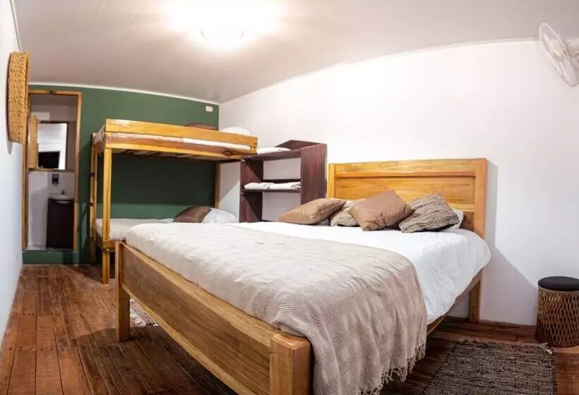 Hotelli Veragua Rainforest Lodge