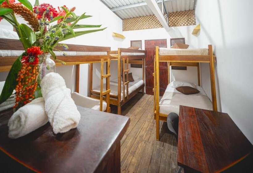 هتل Veragua Rainforest Lodge