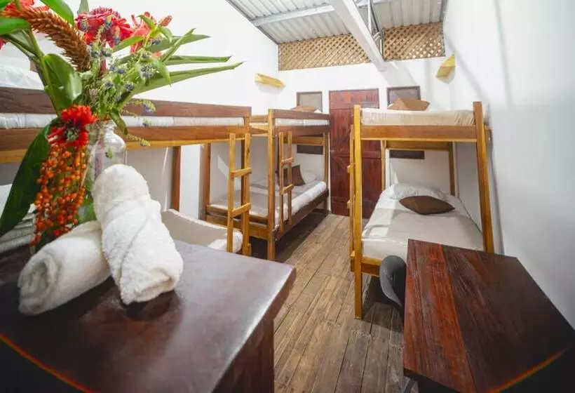 Hotelli Veragua Rainforest Lodge