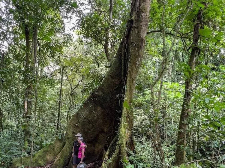 Hotelli Veragua Rainforest Lodge