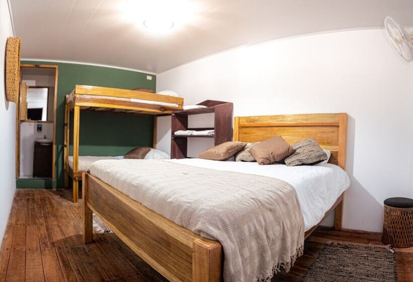 هتل Veragua Rainforest Lodge