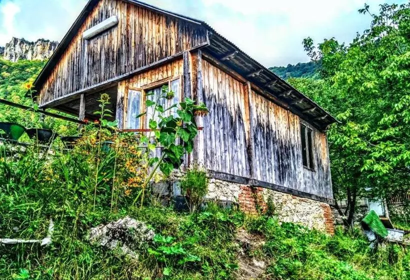 پانسیون Colibri Home