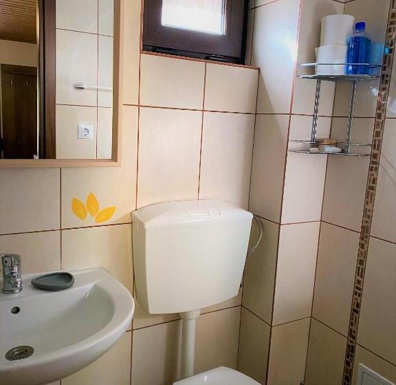 پانسیون Frații Jderi Utopia Verde