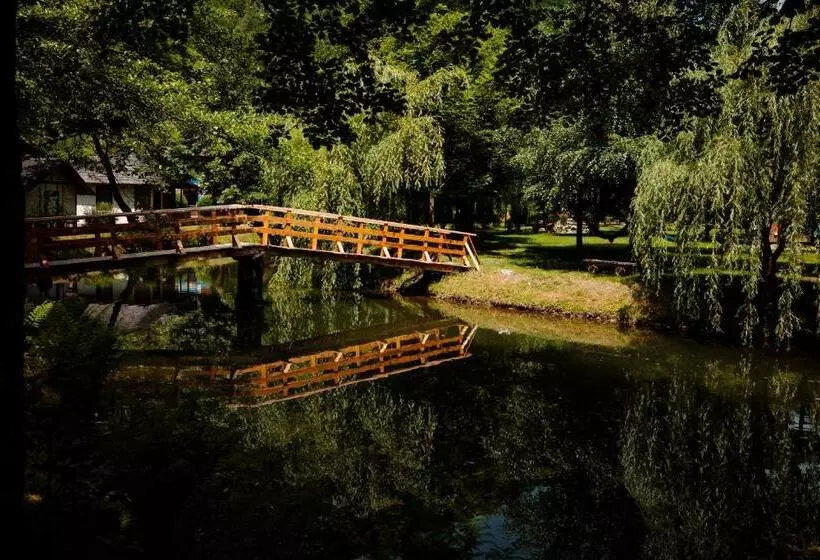 ペンション Frații Jderi   Utopia Verde