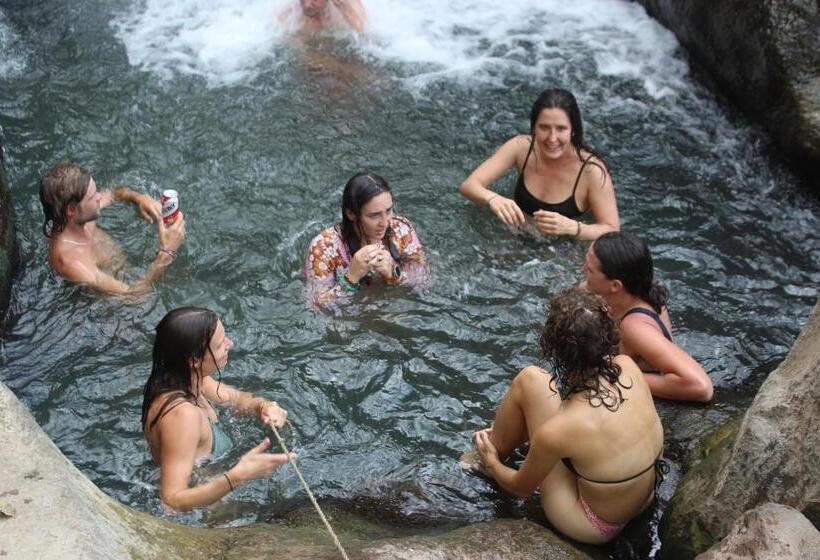 پانسیون Hostel Zwiebel