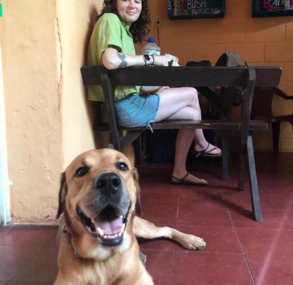 پانسیون Hostel Zwiebel