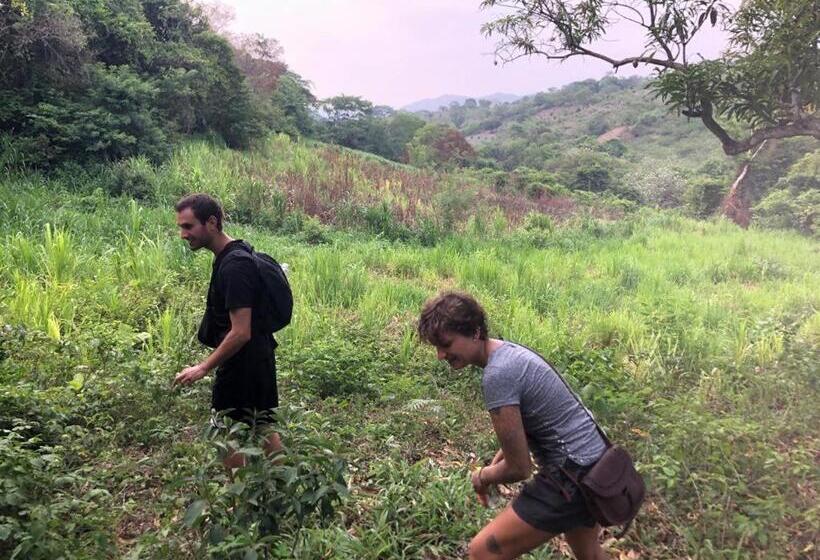 پانسیون Hostel Zwiebel