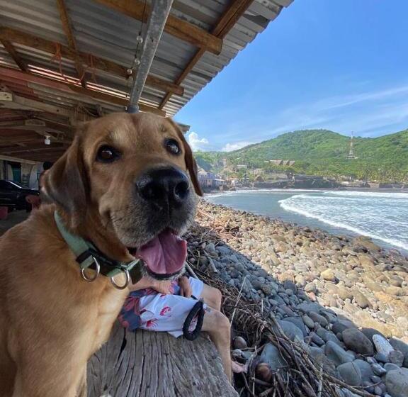 پانسیون Hostel Zwiebel