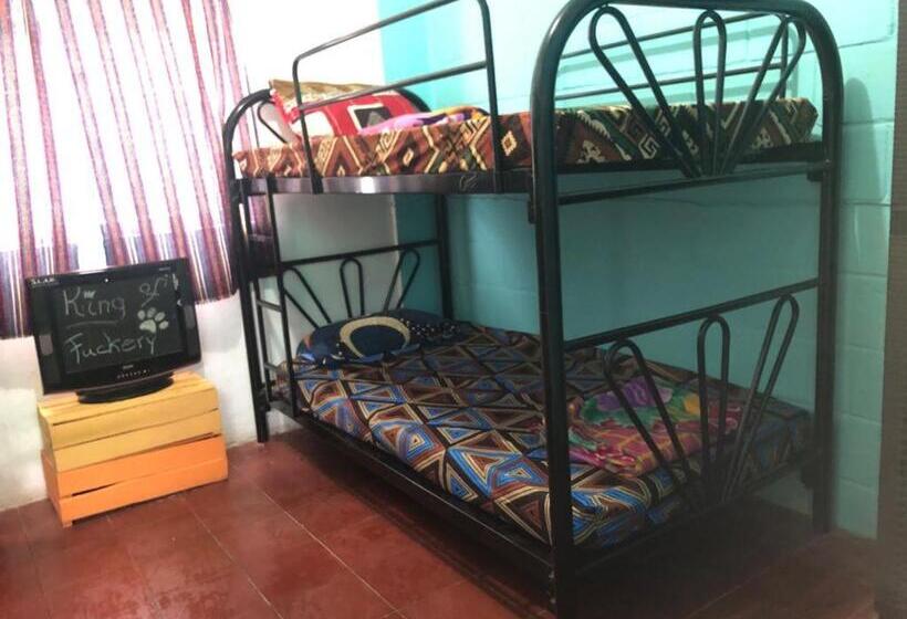 پانسیون Hostel Zwiebel