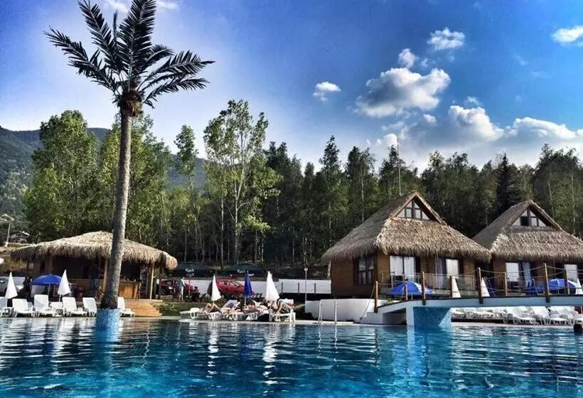 リゾートホテル бора бора