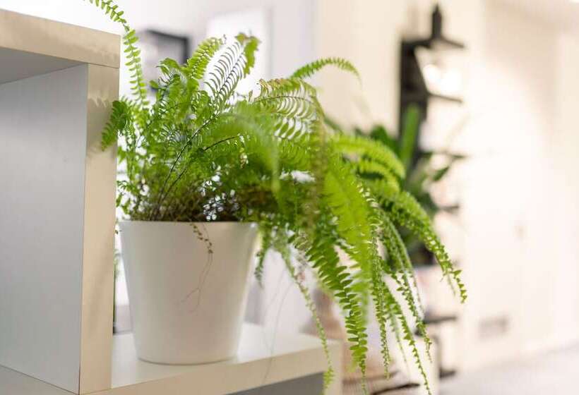 The Business Sleeping Place