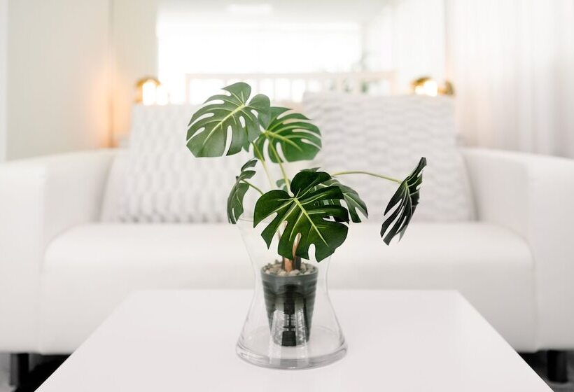 The Business Sleeping Place