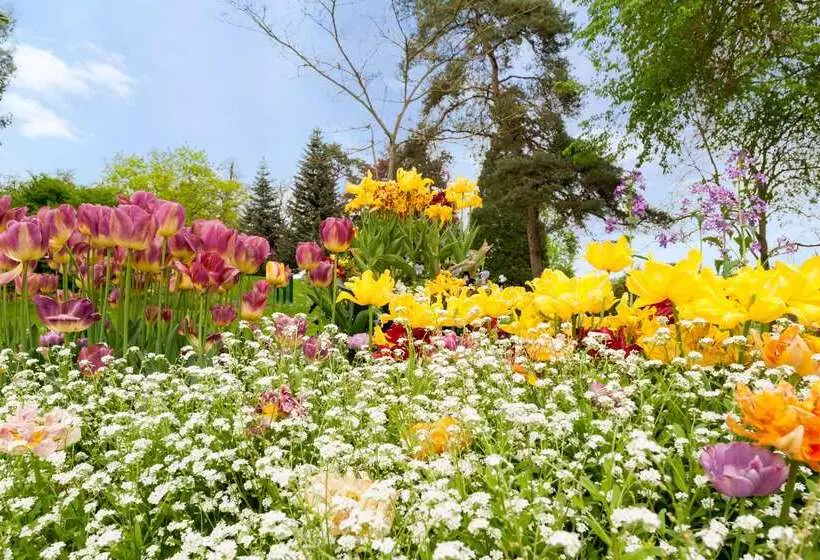 ホテル Kyriad Rouen Sud   Oissel